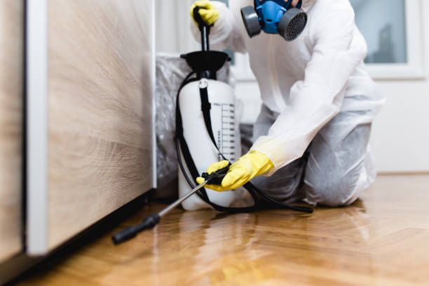 Best Mosquito Control Services  in Avon, MN