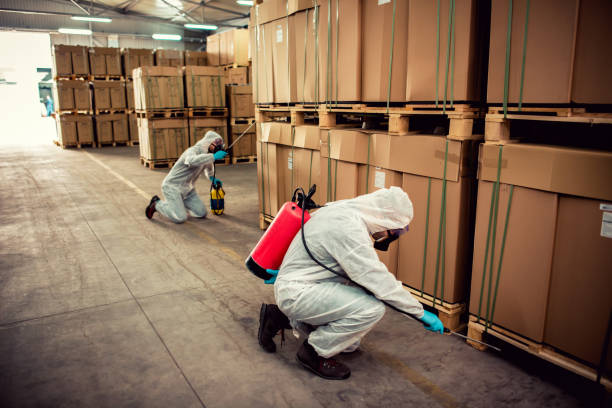 Best Termite Control Services  in Avon, MN
