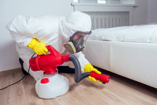 Best Local Pest Control Services  in Avon, MN