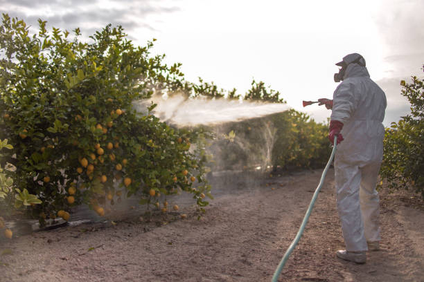 Reliable Avon, MN Pest Control Solutions
